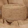 vidaXL Vrv iz jute 25 m dolžina 12 mm debelina