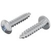 vidaXL Leseni vijaki 2 pcs srebrna M4 x 20 mm Jeklo