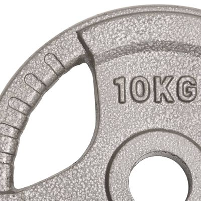 vidaXL Olimpijske uteži 2 kosa 20 kg lito železo