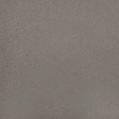 vidaXL Dvosed z vzglavniki in blazinami svetlo siv 120 cm žamet