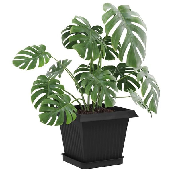 Prikazana fotografija izdelka 3 od 10