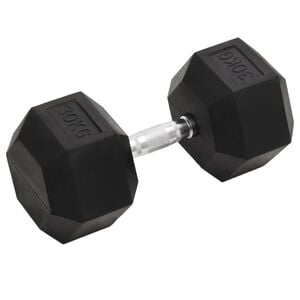 vidaXL Utež 30 kg lito železo