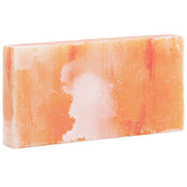 vidaXL Solni Kamni 10 pcs Roza 20 x 2.5 x 10 cm Kamena sol