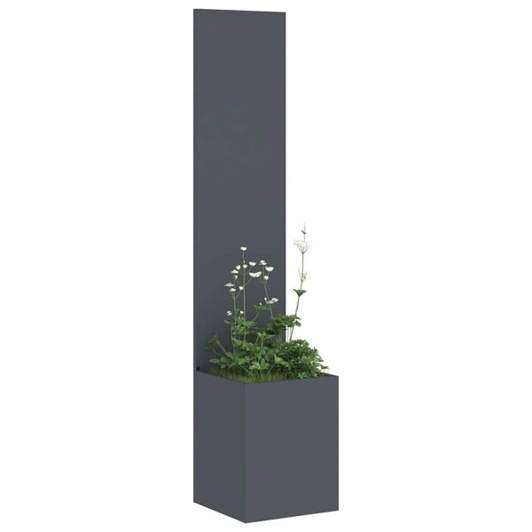 Prikazana fotografija izdelka 3 od 11
