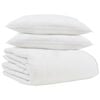 vidaXL Zimska posteljnina z blazino 3 pcs Bela Perje
