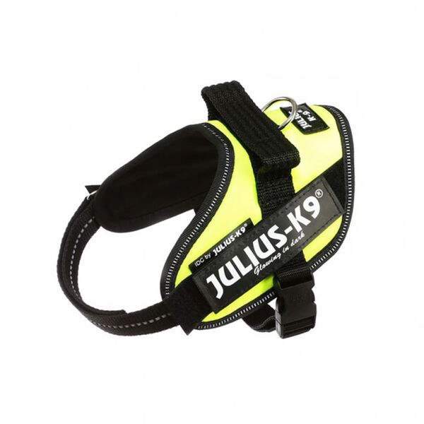 Julius K9 IDC Pasja oprsnica mini mini neon zelena