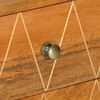 vidaXL Komoda 85x40x70 cm trden mangov les