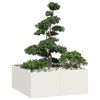 vidaXL Sadilnik Bela 100x100x40 cm Jeklo