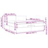 vidaXL Otomanski posteljni okvir z vzmetnico temno siv 200x200 cm