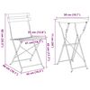 vidaXL Zložljiv bistro set 3 pcs Antracit Jeklo