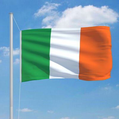 vidaXL Zastava Irske in aluminijast zastavni drog 6,2 m