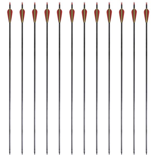 Puščice iz steklenih vlaken za standardni ukrivljeni lok 30"0,76 cm 12