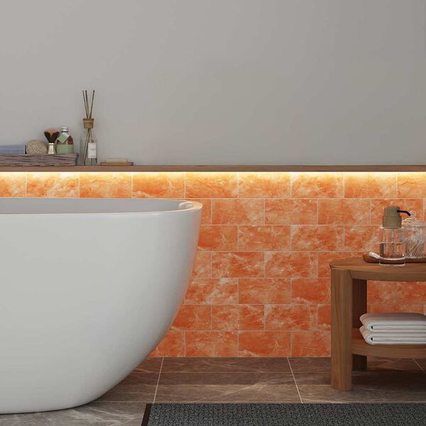 vidaXL Solni Kamni 10 pcs Roza 20 x 2.5 x 10 cm Kamena sol