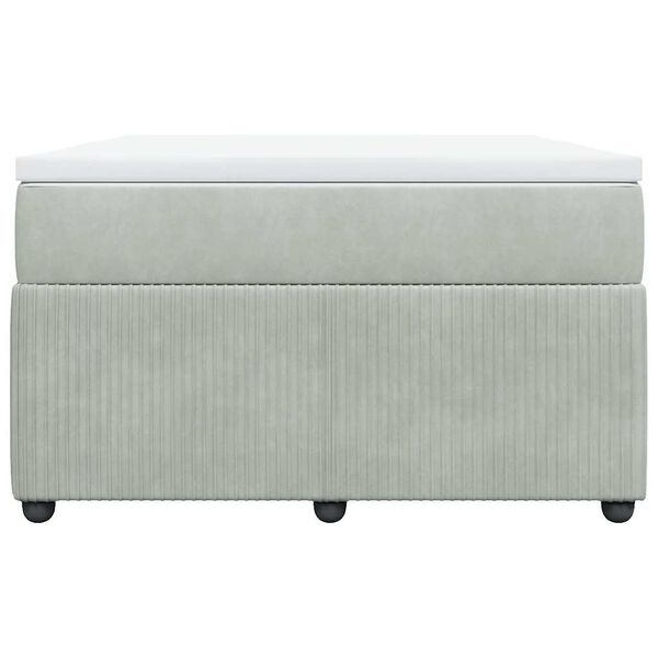 vidaXL Box spring postelja z vzmetnico svetlo siva 120x200 cm žamet
