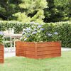 vidaXL Vrtna visoka greda rusty 100x100x45 cm corten jeklo