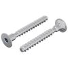 vidaXL Vijak 2 pcs Cinkano 5 x 40 mm elezo