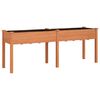 vidaXL Korito s podlogo rjave barve 203x53x76 cm trden les jelke