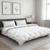 Sličica izdelka 2 od 12