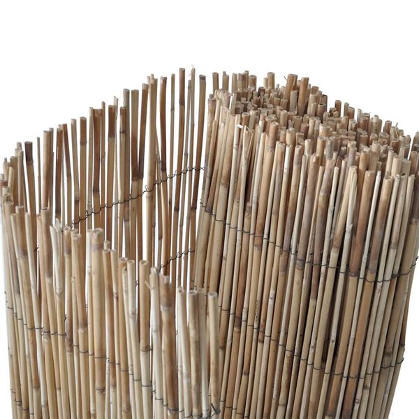 vidaXL Ograja iz trstike Naravna 400 x 160 cm Reed