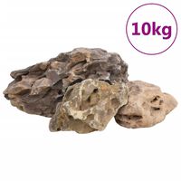 vidaXL Zmajev kamen 10 kg sivi 10-40 cm