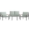 vidaXL Vrtna sedežna garnitura 4-delna z blazinami antracit jeklo