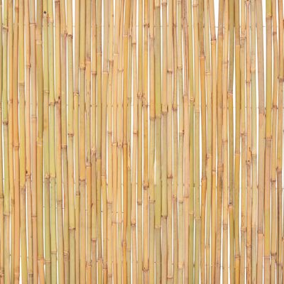 vidaXL Ograja iz bambusa 300x100 cm