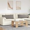 vidaXL Blazine za kavč 2 pcs Taupe 120 x 40 cm blago