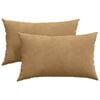 vidaXL Blazine za kavč 2 pcs Rjava 50 x 30 cm Žametna tkanina