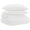vidaXL Zimska posteljnina z blazino 3 pcs Bela Perje