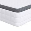 vidaXL Vzmetnica Bela in siva 90 x 200 cm Bonell vzmet