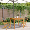 vidaXL Bistro stoli 2 kosa siv trden akacijev les in vrv