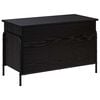 Black_oak