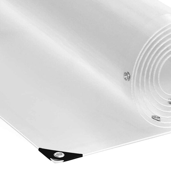 vidaXL Prozorna ponjava z očesci 2x3 m PVC