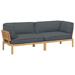 vidaXL Kavčna garnitura 2 kos Antracit 266 x 92 x 69 cm