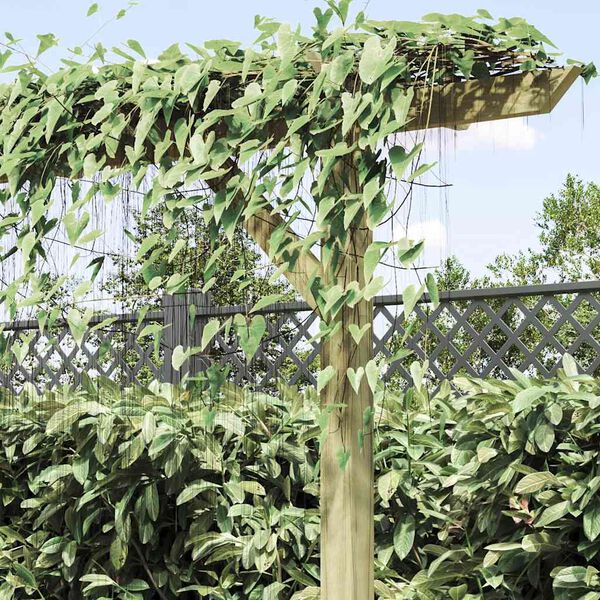 vidaXL Vrtna pergola 410x40x203 cm lesena