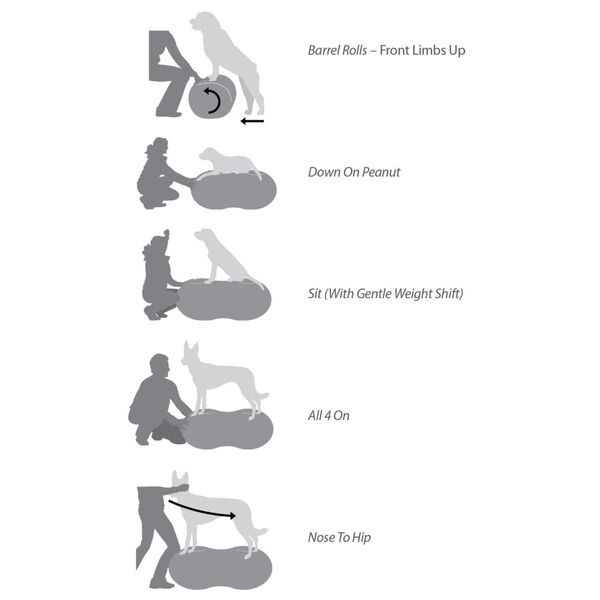 FitPAWS Pasja podloga za ravnotežje Trax Peanut 60 cm modra