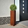 vidaXL Garden Planters 2 kosa Trikotni Vremensko odporno jeklo