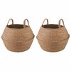vidaXL Lonček za rastline z ročaji 2 pcs Naravna &Oslash; 32 x 32 cm