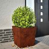 vidaXL Garden Planter 50x50x50 cm Vremensko odporno jeklo