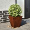 vidaXL Garden Planters 2 kosa 30x30x30 cm Weathering Steel