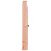 vidaXL Zunanja kuhinjska vrata 2 kosa 50x9x82 cm trden les douglas