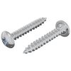 vidaXL Leseni vijaki 2 kos Srebrna M4 x 25 mm Jeklo