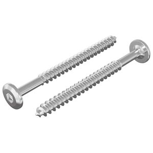 vidaXL Leseni vijaki 2 kos Srebrna M6 x 70 mm Jeklo