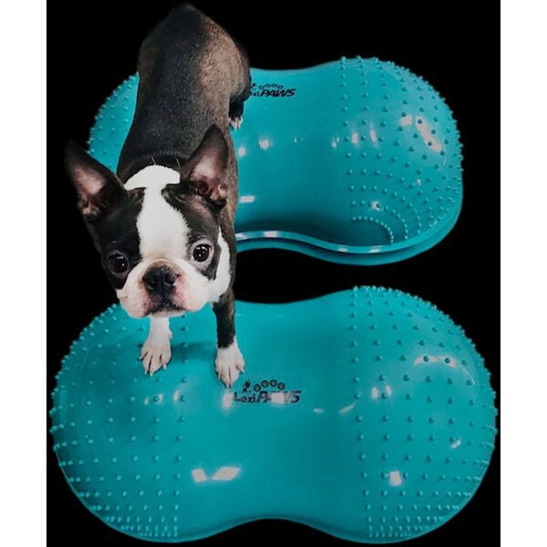 FitPAWS Pasja podloga za ravnotežje FlexiPAWS Cloud 70x40x32 cm modra