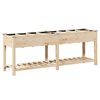 vidaXL Vrtni lonček Bež 203,5 x 53 x 76,5 cm Trdna smreka