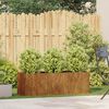 vidaXL Planter Rusty 120x40x40 cm Vremensko odporno jeklo
