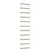 vidaXL Stenska dekoracija v obliki lestve 50x200 cm Naravna veja