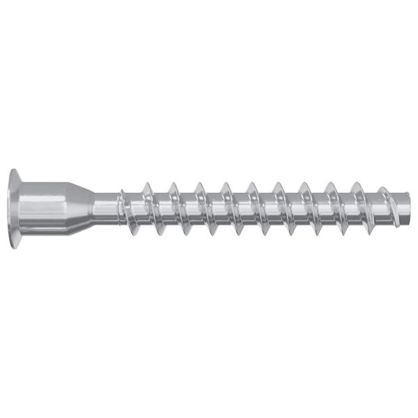 vidaXL Potrdilni vijaki 2 pcs srebrna &Oslash;7 x 50 mm Kovina