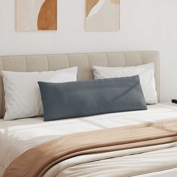 vidaXL Blazine za kavč 2 pcs Temno siva 120 x 40 cm Žametna tkanina