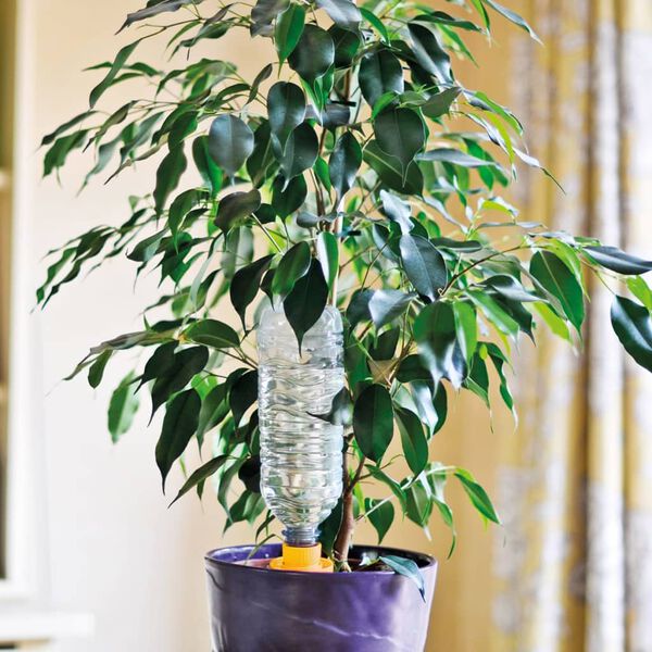 Hozelock Stožci za zalivanje 4 kosi Aquasolo veliki